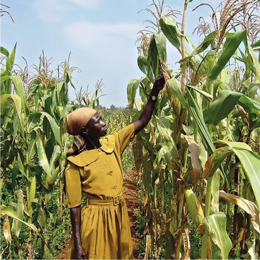 agricmama